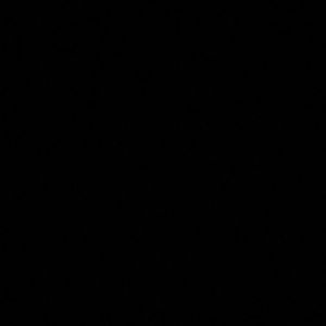 Meet your Posher, Jaszmine